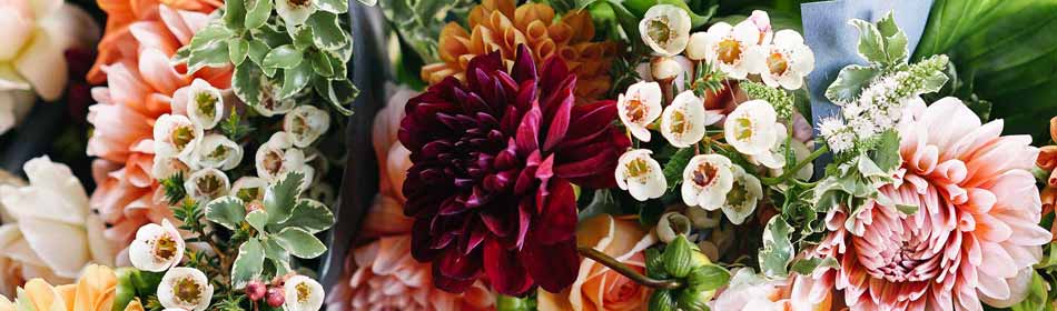 Florists, Floral Arrangements, Bouquets in the Newtown, Bucks County PA area