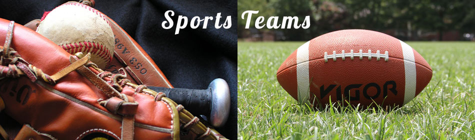 Sports teams, football, baseball, hockey, minor league teams in the Newtown, Bucks County PA area